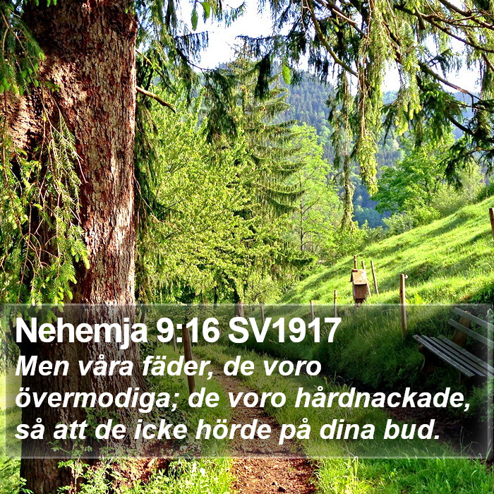 Nehemja 9:16 SV1917 Bible Study