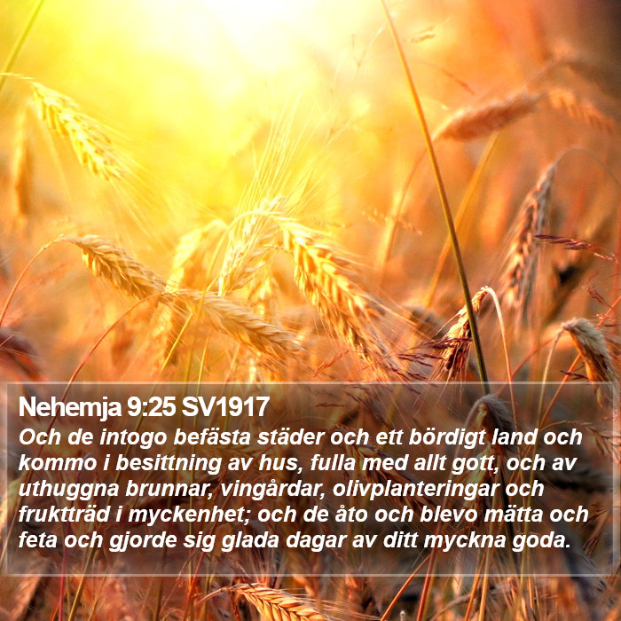 Nehemja 9:25 SV1917 Bible Study
