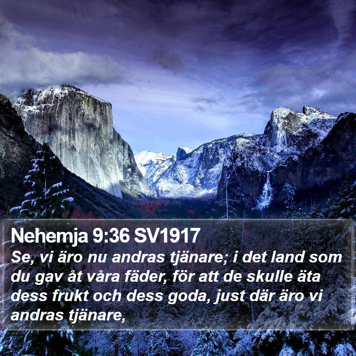 Nehemja 9:36 SV1917 Bible Study