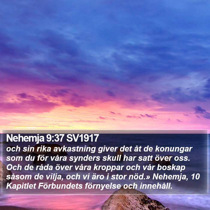 Nehemja 9:37 SV1917 Bible Study