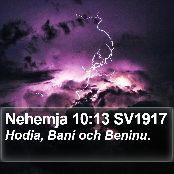 Nehemja 10:13 SV1917 Bible Study