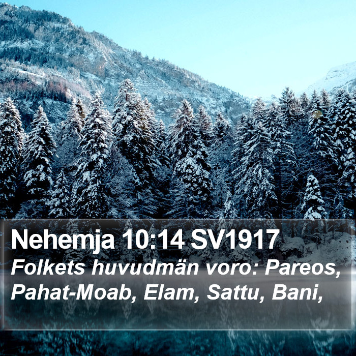 Nehemja 10:14 SV1917 Bible Study