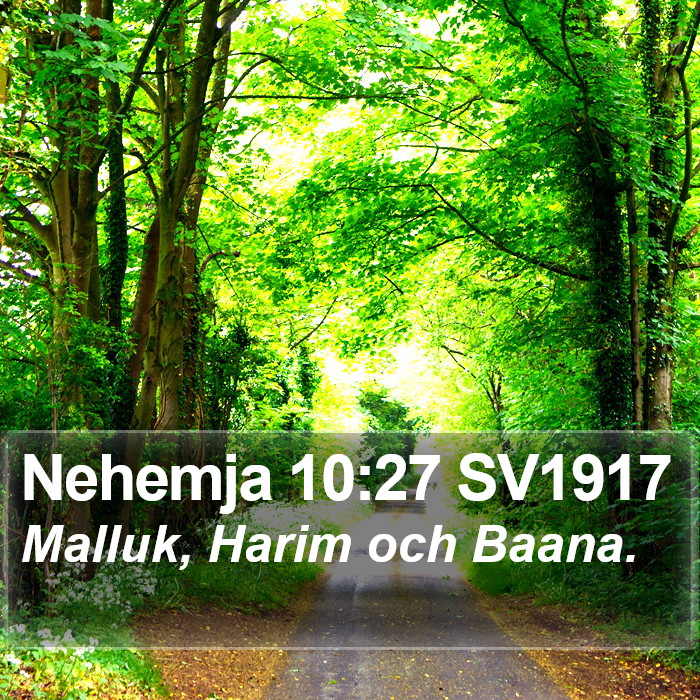 Nehemja 10:27 SV1917 Bible Study