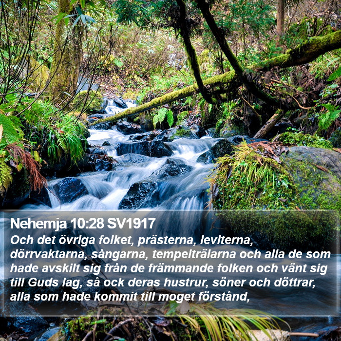 Nehemja 10:28 SV1917 Bible Study