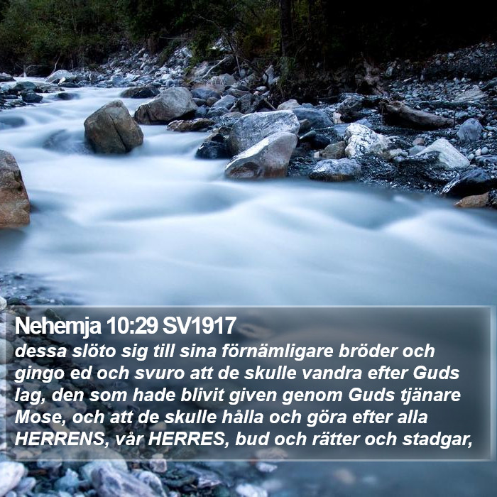 Nehemja 10:29 SV1917 Bible Study