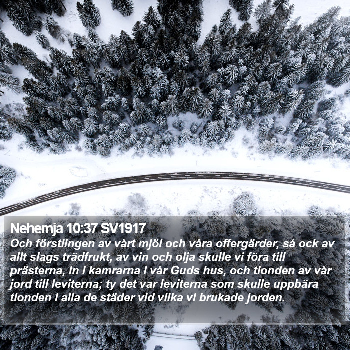 Nehemja 10:37 SV1917 Bible Study