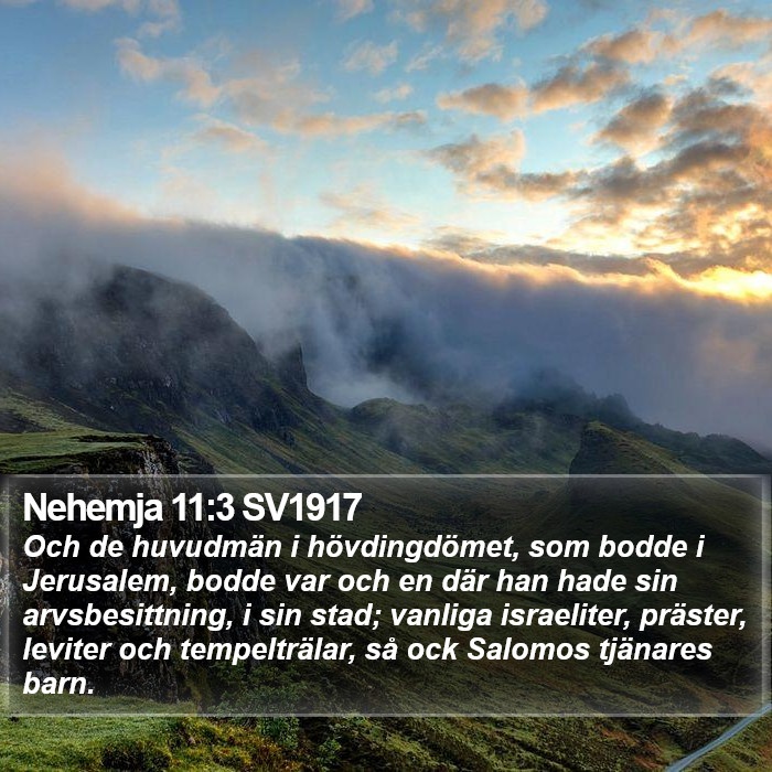 Nehemja 11:3 SV1917 Bible Study