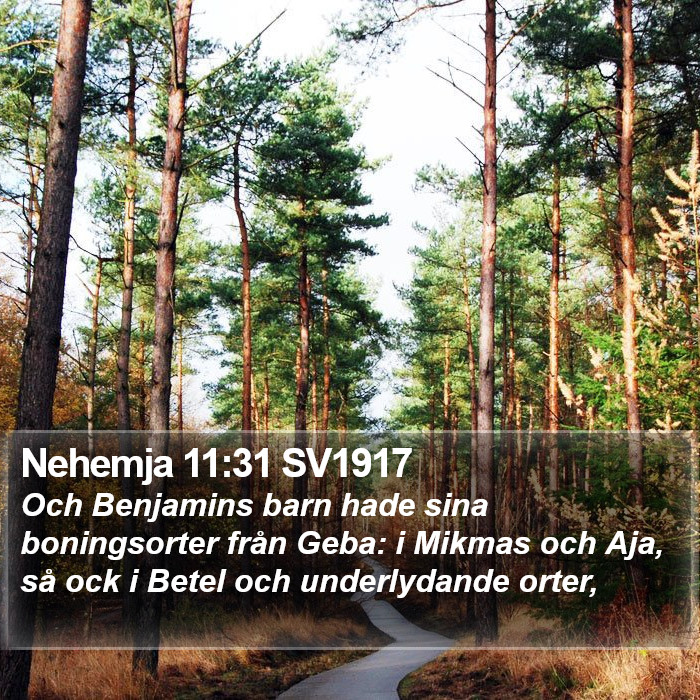 Nehemja 11:31 SV1917 Bible Study