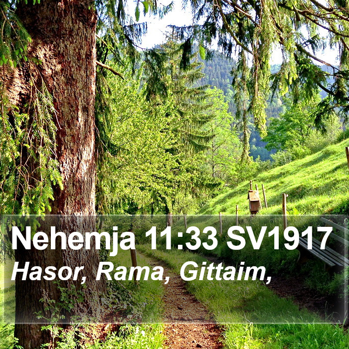 Nehemja 11:33 SV1917 Bible Study