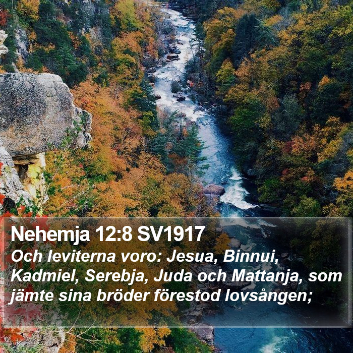 Nehemja 12:8 SV1917 Bible Study