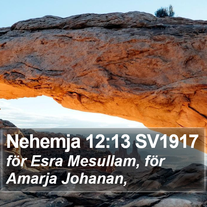 Nehemja 12:13 SV1917 Bible Study