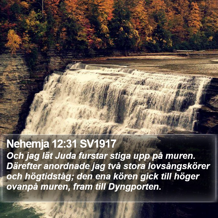 Nehemja 12:31 SV1917 Bible Study