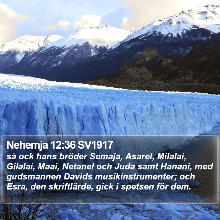 Nehemja 12:36 SV1917 Bible Study