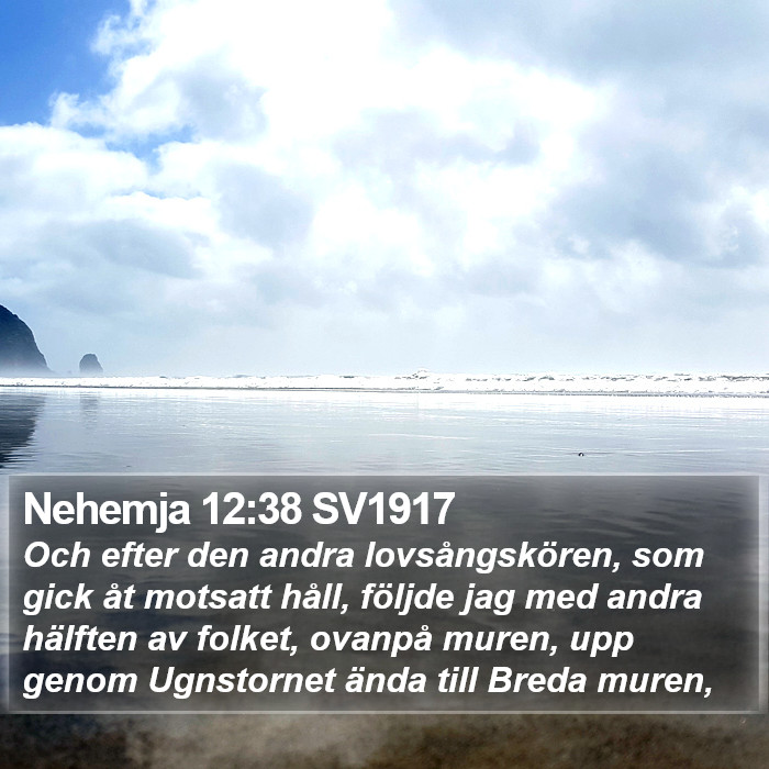 Nehemja 12:38 SV1917 Bible Study