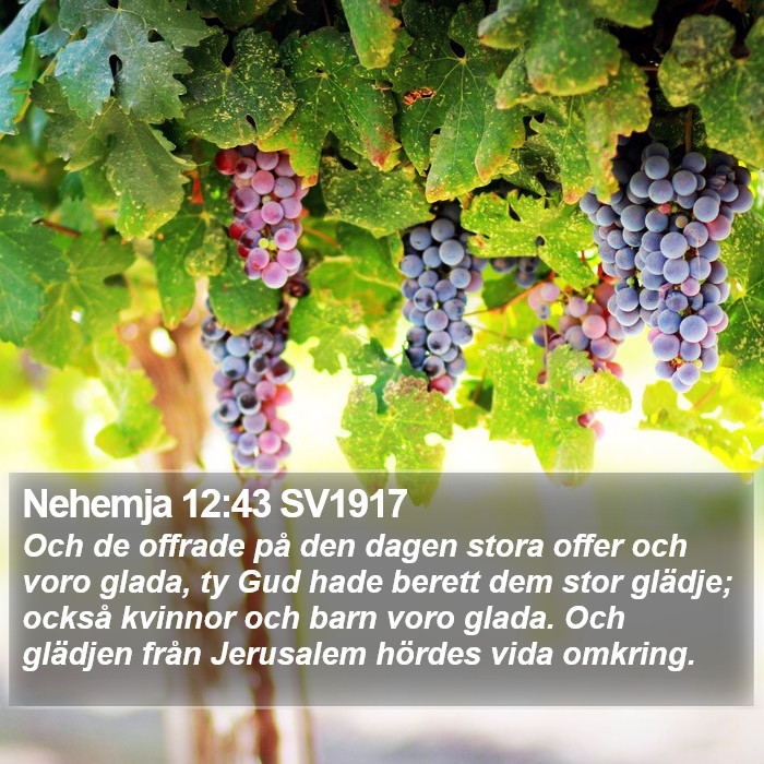 Nehemja 12:43 SV1917 Bible Study