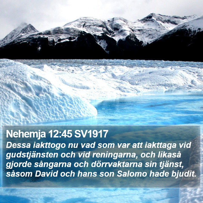 Nehemja 12:45 SV1917 Bible Study