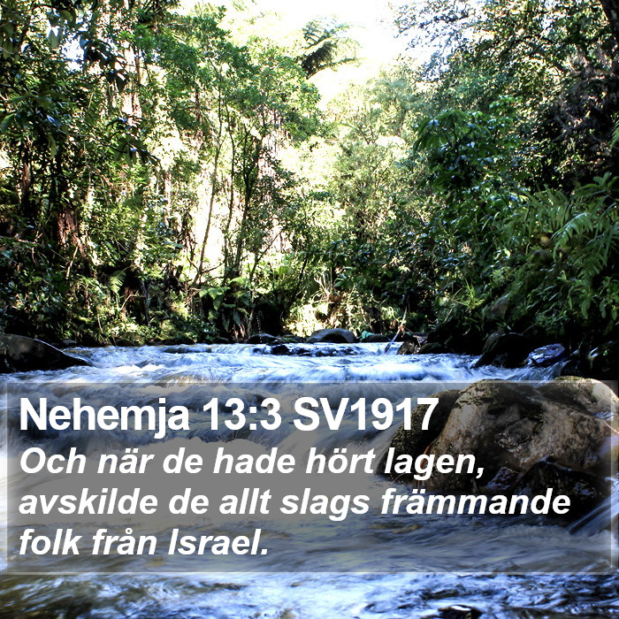 Nehemja 13:3 SV1917 Bible Study