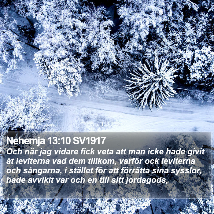 Nehemja 13:10 SV1917 Bible Study