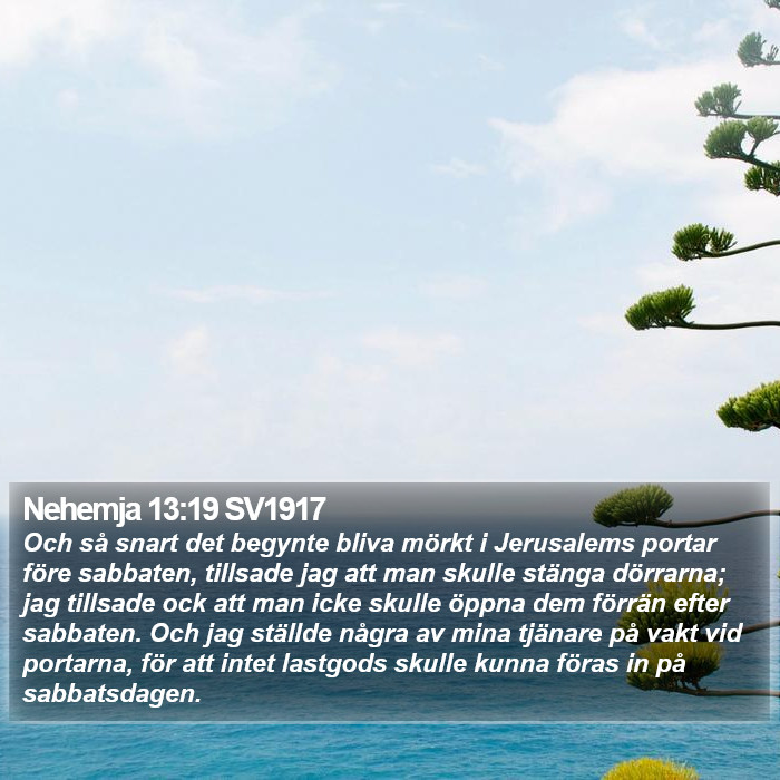 Nehemja 13:19 SV1917 Bible Study