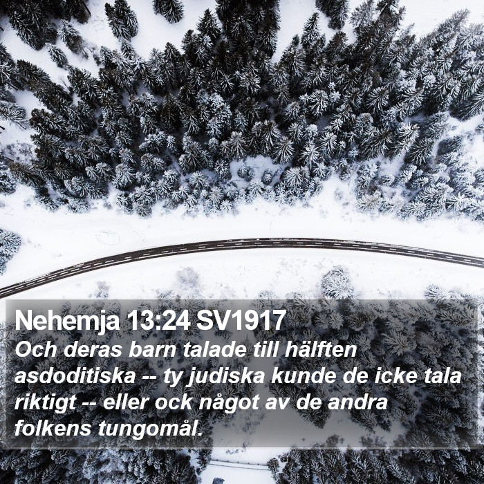 Nehemja 13:24 SV1917 Bible Study