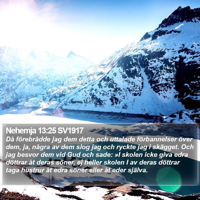 Nehemja 13:25 SV1917 Bible Study