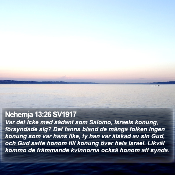 Nehemja 13:26 SV1917 Bible Study