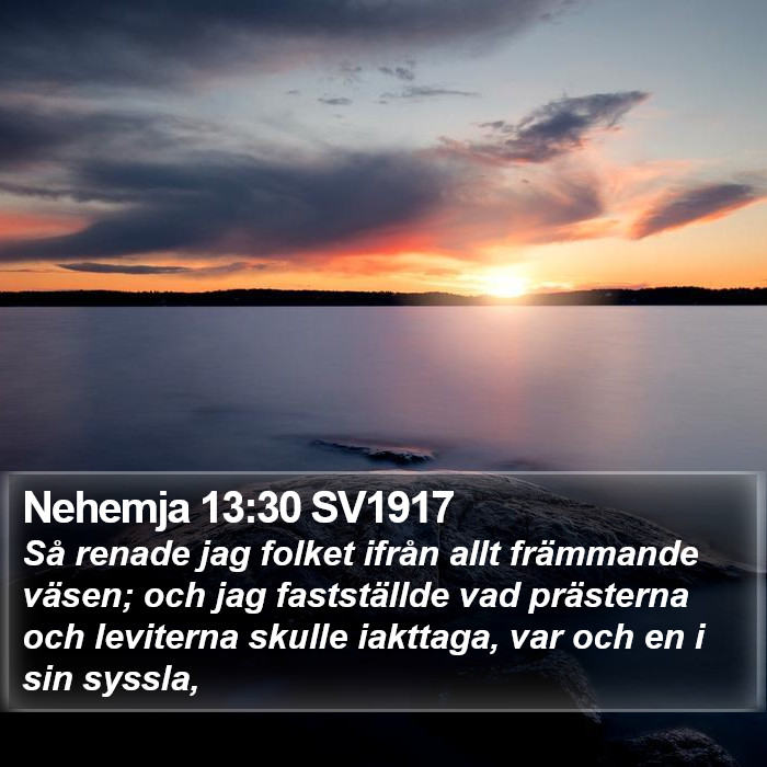 Nehemja 13:30 SV1917 Bible Study