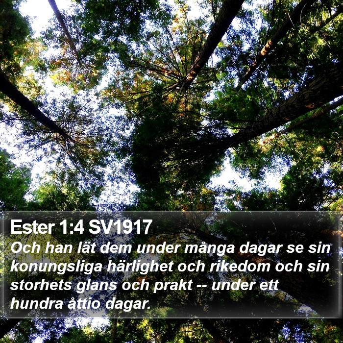 Ester 1:4 SV1917 Bible Study