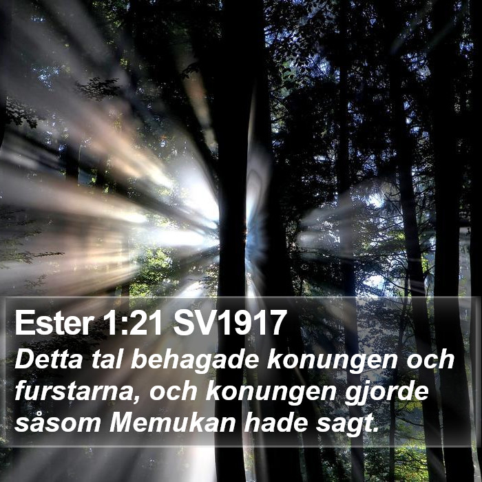 Ester 1:21 SV1917 Bible Study