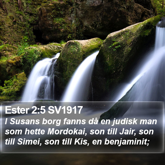 Ester 2:5 SV1917 Bible Study