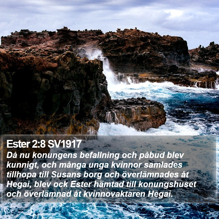 Ester 2:8 SV1917 Bible Study