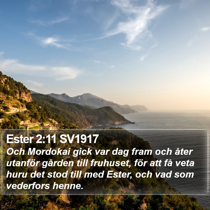 Ester 2:11 SV1917 Bible Study