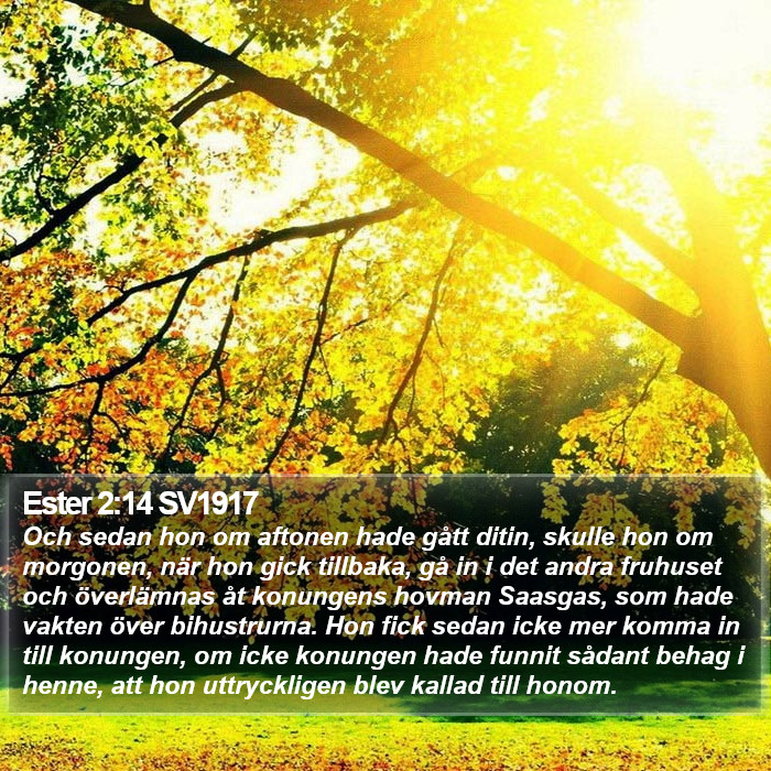 Ester 2:14 SV1917 Bible Study