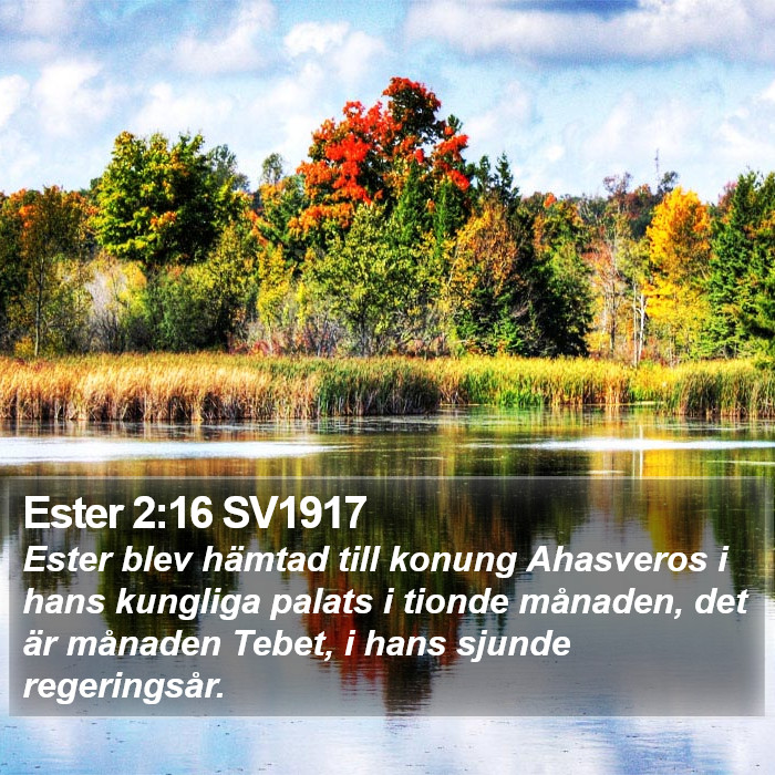 Ester 2:16 SV1917 Bible Study