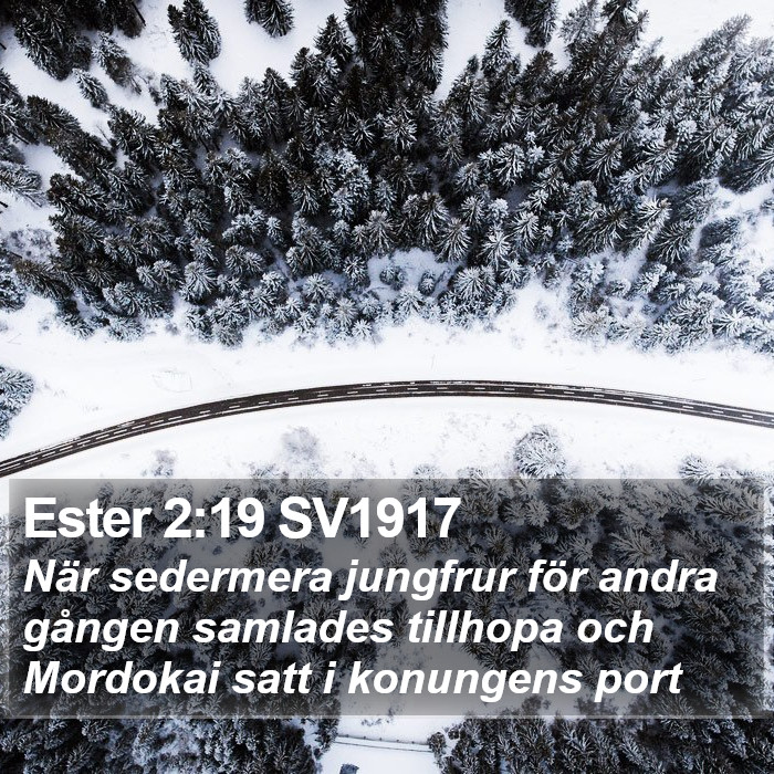 Ester 2:19 SV1917 Bible Study