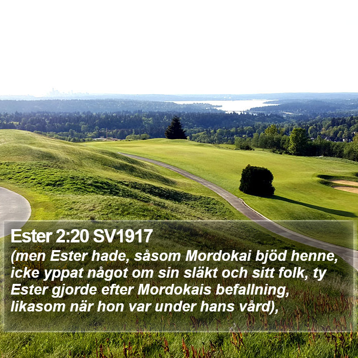 Ester 2:20 SV1917 Bible Study