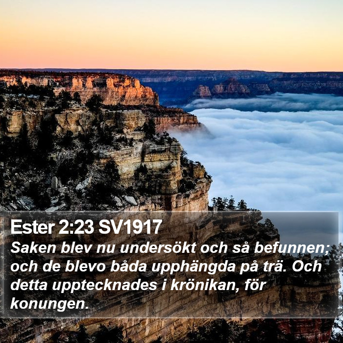 Ester 2:23 SV1917 Bible Study