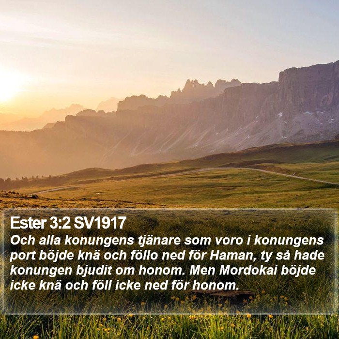 Ester 3:2 SV1917 Bible Study