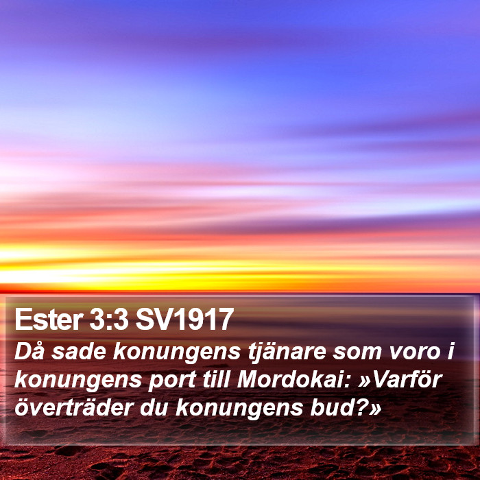 Ester 3:3 SV1917 Bible Study