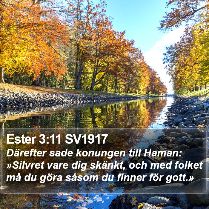 Ester 3:11 SV1917 Bible Study