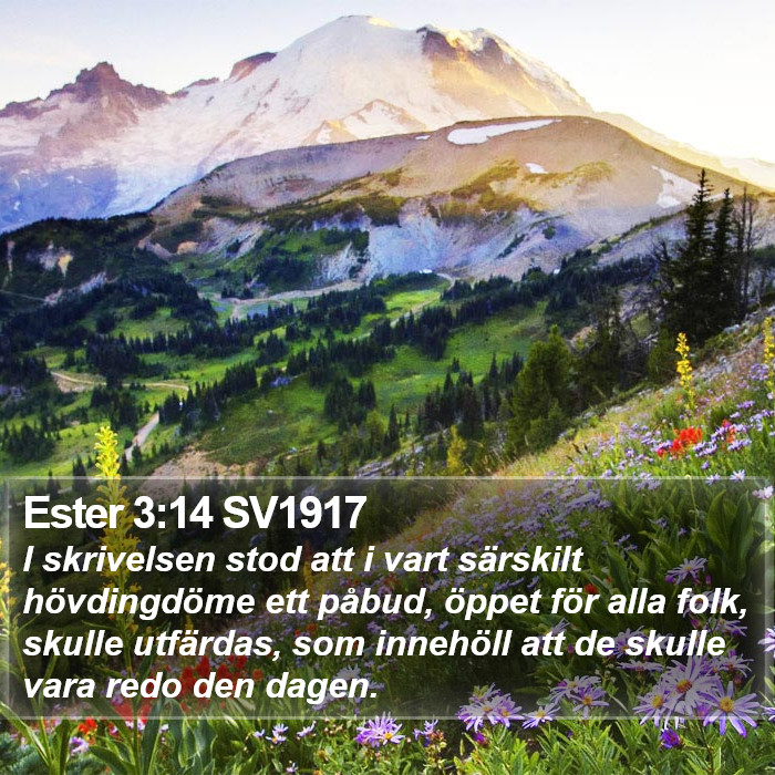 Ester 3:14 SV1917 Bible Study