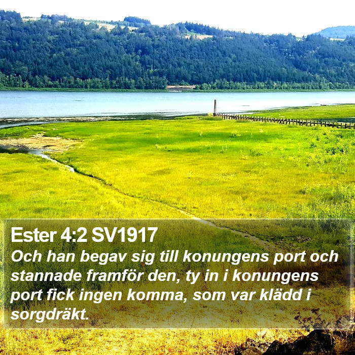 Ester 4:2 SV1917 Bible Study