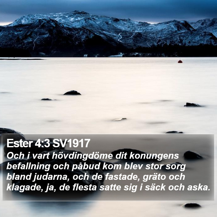 Ester 4:3 SV1917 Bible Study