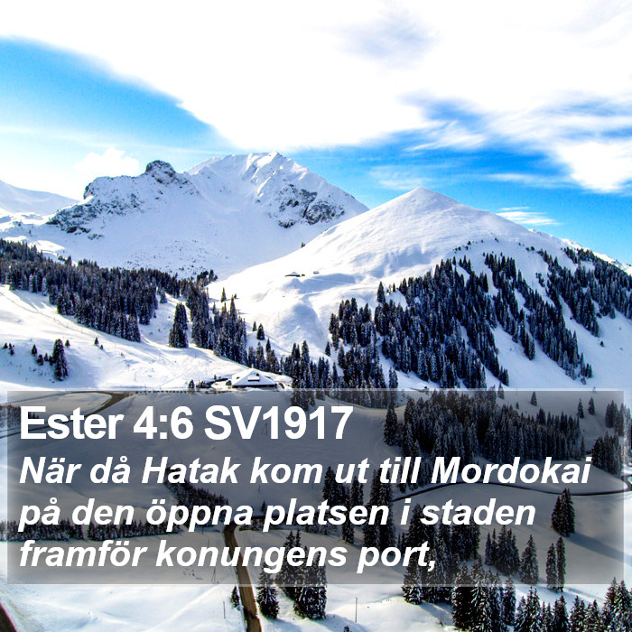 Ester 4:6 SV1917 Bible Study