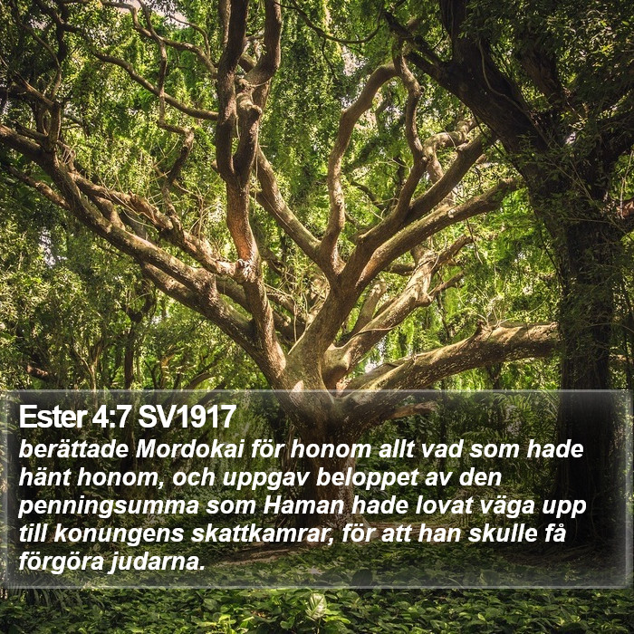 Ester 4:7 SV1917 Bible Study