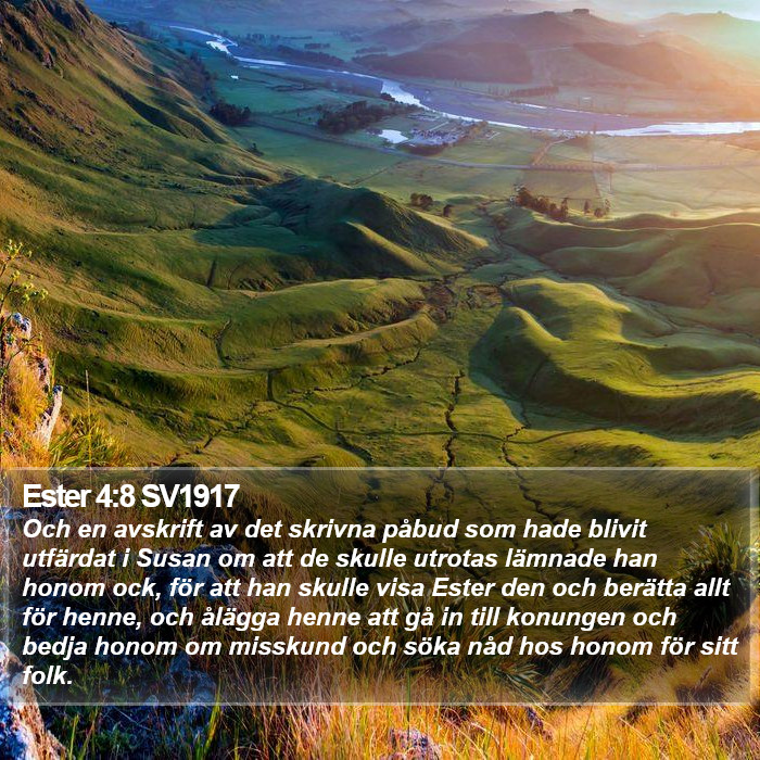 Ester 4:8 SV1917 Bible Study