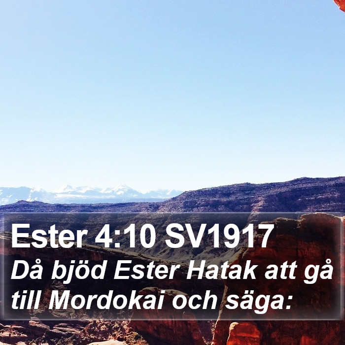 Ester 4:10 SV1917 Bible Study