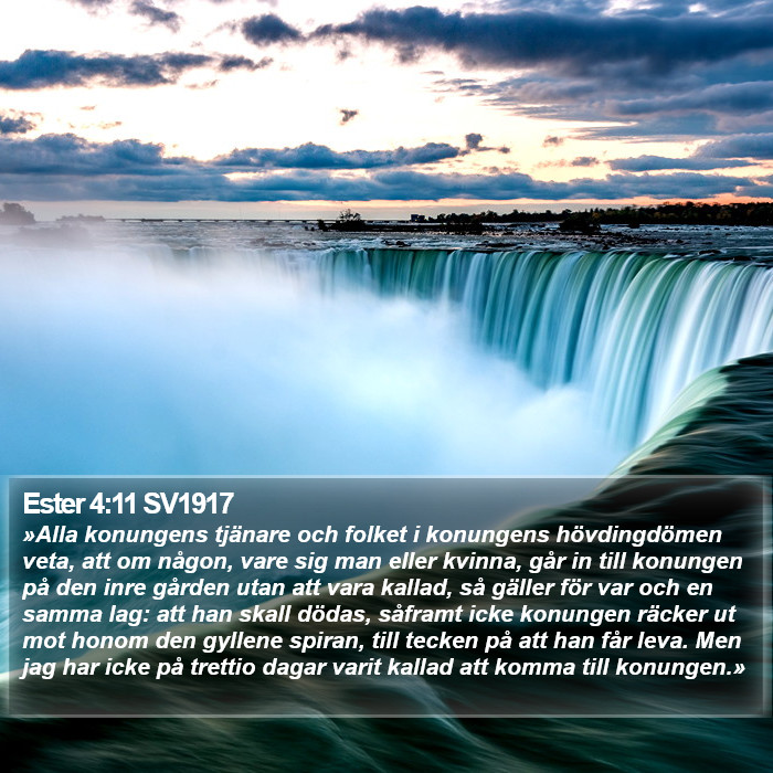 Ester 4:11 SV1917 Bible Study