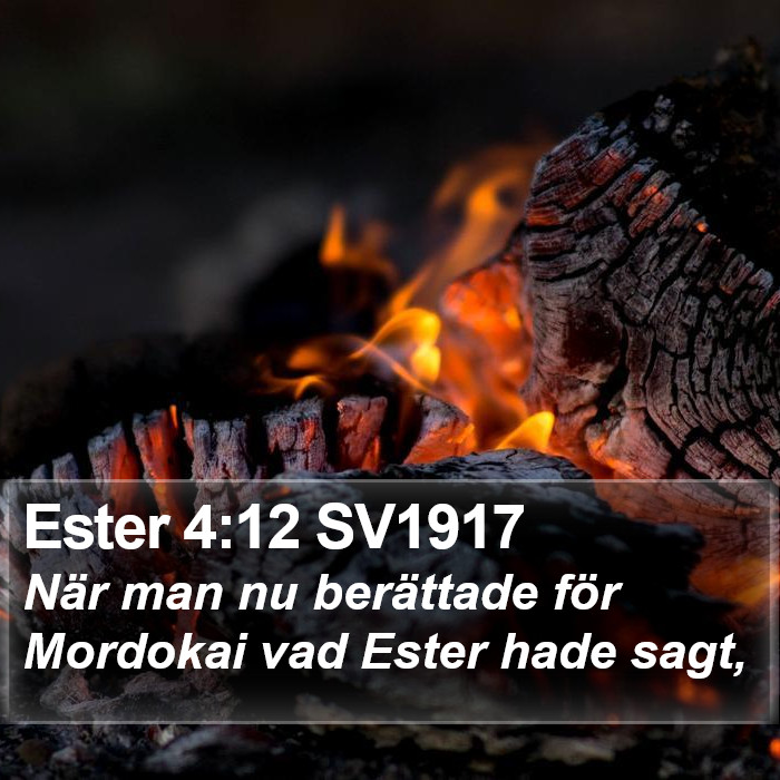 Ester 4:12 SV1917 Bible Study