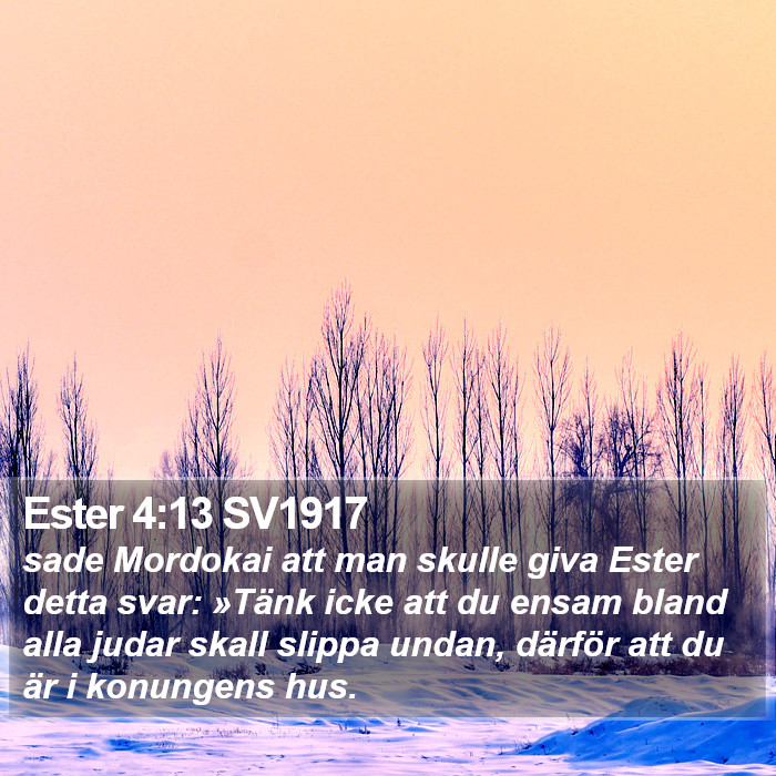 Ester 4:13 SV1917 Bible Study